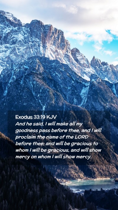 Picture 02 - Exodus 33:19 KJV Mobile Phone Wallpaper - And he said, I will make all my goodness pass - Mobile Bible Verse Wallpaper