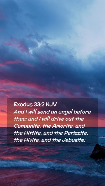 Picture 02 - Exodus 33:2 KJV Mobile Phone Wallpaper - And I will send an angel before thee; and I will - Mobile Bible Verse Wallpaper