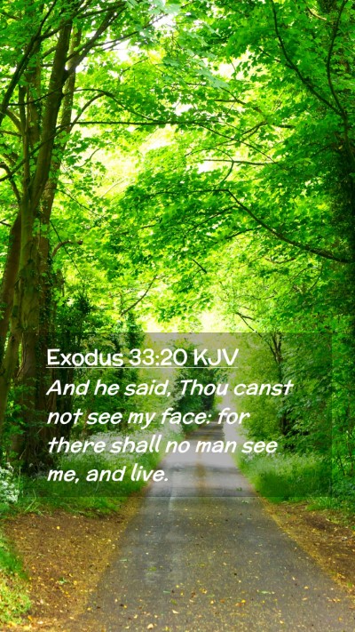 Picture 02 - Exodus 33:20 KJV Mobile Phone Wallpaper - And he said, Thou canst not see my face: for - Mobile Bible Verse Wallpaper