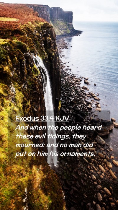 Picture 02 - Exodus 33:4 KJV Mobile Phone Wallpaper - And when the people heard these evil tidings, - Mobile Bible Verse Wallpaper