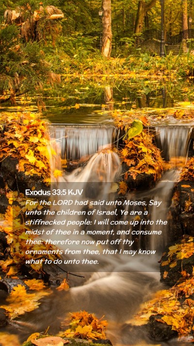 Picture 02 - Exodus 33:5 KJV Mobile Phone Wallpaper - For the LORD had said unto Moses, Say unto the - Mobile Bible Verse Wallpaper