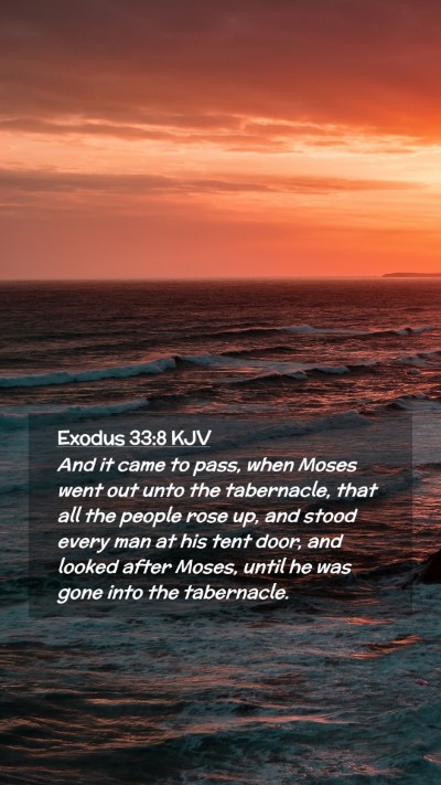 Picture 02 - Exodus 33:8 KJV Mobile Phone Wallpaper - And it came to pass, when Moses went out unto the - Mobile Bible Verse Wallpaper