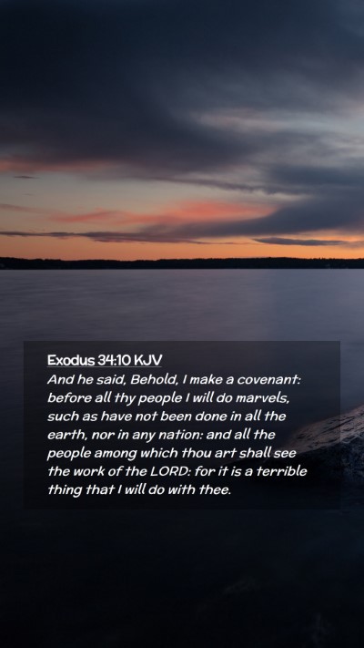 Picture 02 - Exodus 34:10 KJV Mobile Phone Wallpaper - And he said, Behold, I make a covenant: before - Mobile Bible Verse Wallpaper