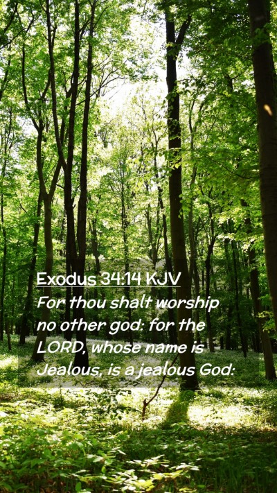 Picture 02 - Exodus 34:14 KJV Mobile Phone Wallpaper - For thou shalt worship no other god: for the - Mobile Bible Verse Wallpaper