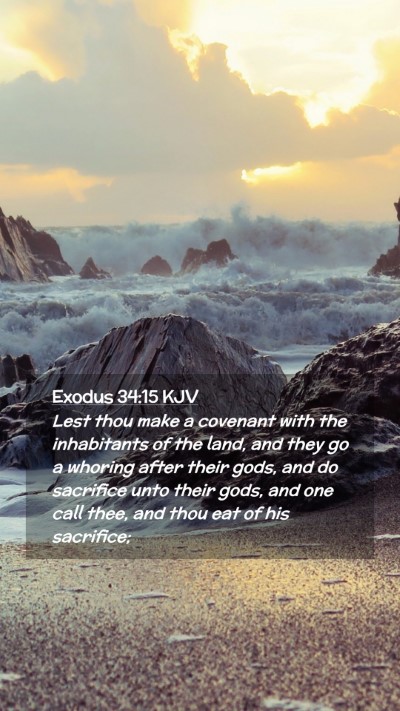 Picture 02 - Exodus 34:15 KJV Mobile Phone Wallpaper - Lest thou make a covenant with the inhabitants of - Mobile Bible Verse Wallpaper