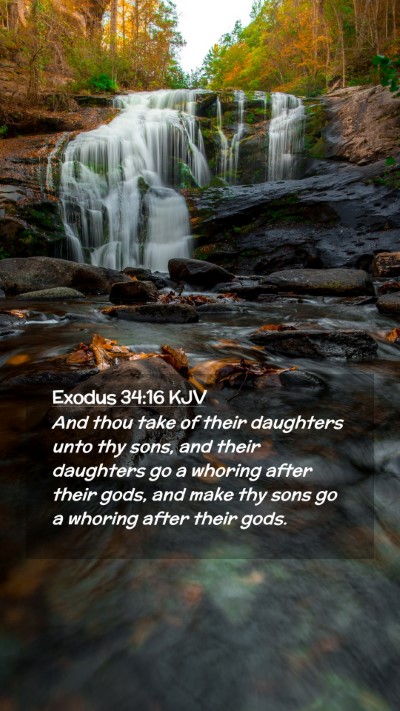 Picture 02 - Exodus 34:16 KJV Mobile Phone Wallpaper - And thou take of their daughters unto thy sons, - Mobile Bible Verse Wallpaper
