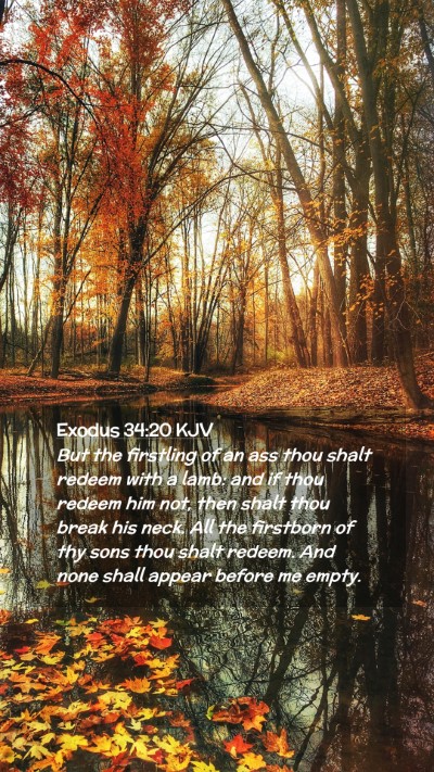 Picture 02 - Exodus 34:20 KJV Mobile Phone Wallpaper - But the firstling of an ass thou shalt redeem - Mobile Bible Verse Wallpaper