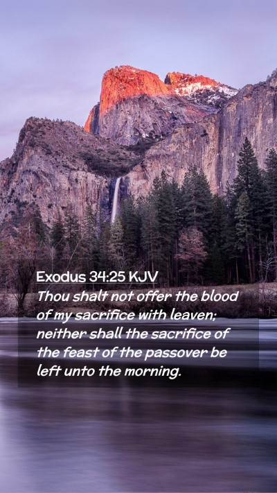 Picture 02 - Exodus 34:25 KJV Mobile Phone Wallpaper - Thou shalt not offer the blood of my sacrifice - Mobile Bible Verse Wallpaper