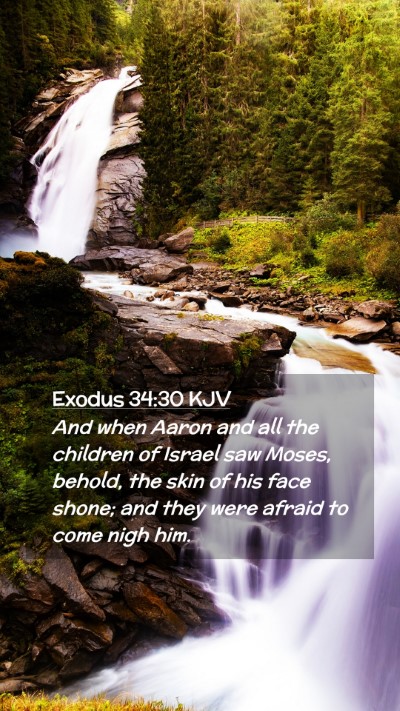 Picture 02 - Exodus 34:30 KJV Mobile Phone Wallpaper - And when Aaron and all the children of Israel saw - Mobile Bible Verse Wallpaper