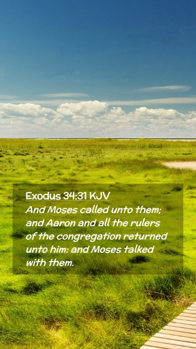 Picture 02 - Exodus 34:31 KJV Mobile Phone Wallpaper - And Moses called unto them; and Aaron and all the - Mobile Bible Verse Wallpaper