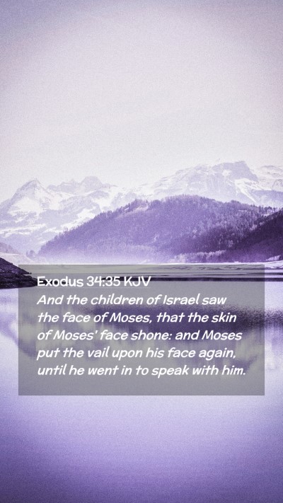 Picture 02 - Exodus 34:35 KJV Mobile Phone Wallpaper - And the children of Israel saw the face of Moses, - Mobile Bible Verse Wallpaper