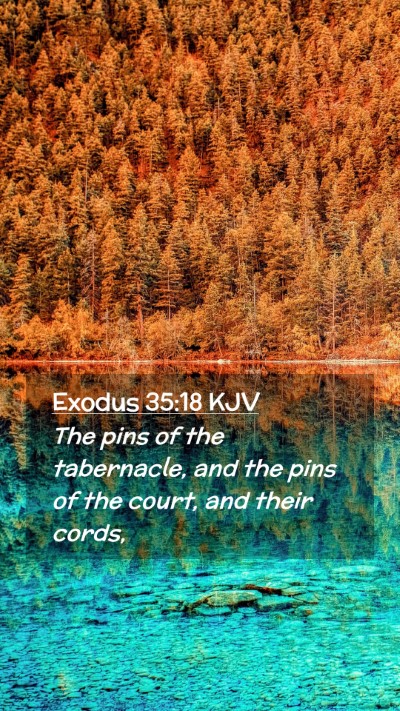 Picture 02 - Exodus 35:18 KJV Mobile Phone Wallpaper - The pins of the tabernacle, and the pins of the - Mobile Bible Verse Wallpaper