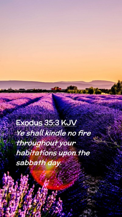 Picture 02 - Exodus 35:3 KJV Mobile Phone Wallpaper - Ye shall kindle no fire throughout your - Mobile Bible Verse Wallpaper