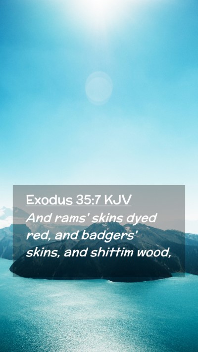 Picture 02 - Exodus 35:7 KJV Mobile Phone Wallpaper - And rams' skins dyed red, and badgers' skins, and - Mobile Bible Verse Wallpaper