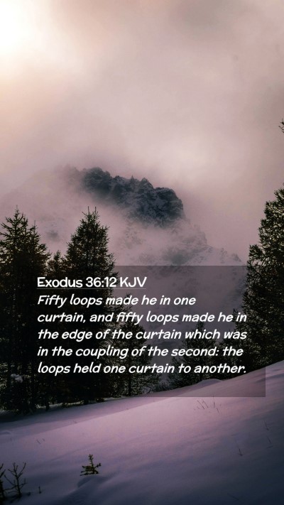 Picture 02 - Exodus 36:12 KJV Mobile Phone Wallpaper - Fifty loops made he in one curtain, and fifty - Mobile Bible Verse Wallpaper