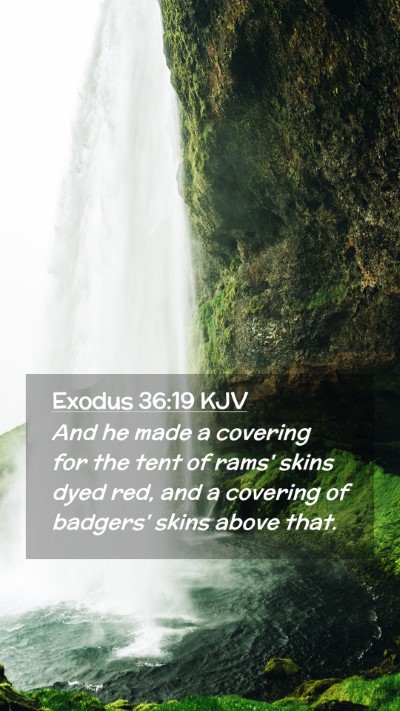 Picture 02 - Exodus 36:19 KJV Mobile Phone Wallpaper - And he made a covering for the tent of rams' - Mobile Bible Verse Wallpaper