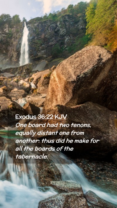 Picture 02 - Exodus 36:22 KJV Mobile Phone Wallpaper - One board had two tenons, equally distant one - Mobile Bible Verse Wallpaper