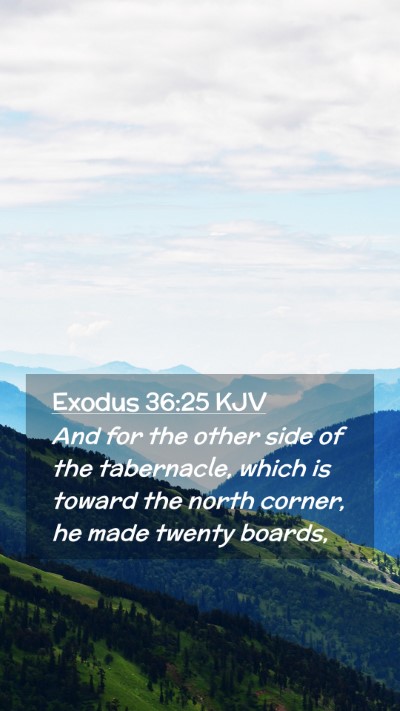 Picture 02 - Exodus 36:25 KJV Mobile Phone Wallpaper - And for the other side of the tabernacle, which - Mobile Bible Verse Wallpaper