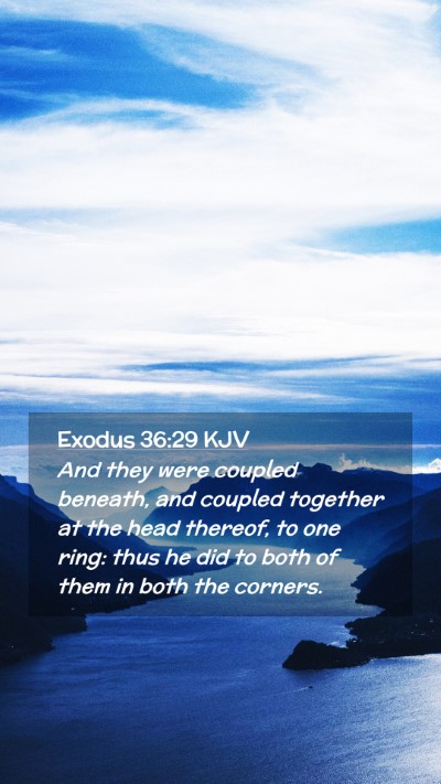 Picture 02 - Exodus 36:29 KJV Mobile Phone Wallpaper - And they were coupled beneath, and coupled - Mobile Bible Verse Wallpaper