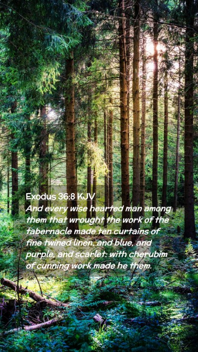 Picture 02 - Exodus 36:8 KJV Mobile Phone Wallpaper - And every wise hearted man among them that - Mobile Bible Verse Wallpaper