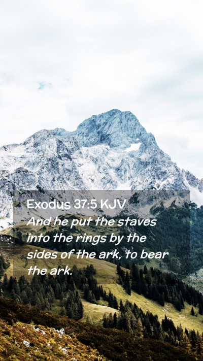 Picture 02 - Exodus 37:5 KJV Mobile Phone Wallpaper - And he put the staves into the rings by the sides - Mobile Bible Verse Wallpaper