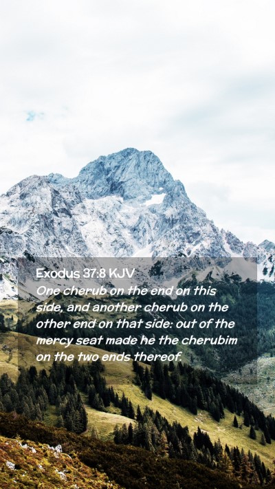 Picture 02 - Exodus 37:8 KJV Mobile Phone Wallpaper - One cherub on the end on this side, and another - Mobile Bible Verse Wallpaper