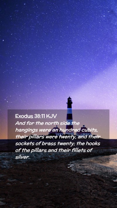 Picture 02 - Exodus 38:11 KJV Mobile Phone Wallpaper - And for the north side the hangings were an - Mobile Bible Verse Wallpaper