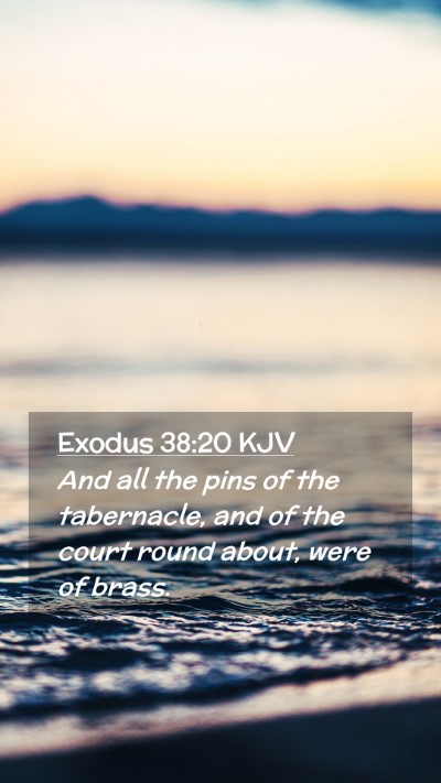 Picture 02 - Exodus 38:20 KJV Mobile Phone Wallpaper - And all the pins of the tabernacle, and of the - Mobile Bible Verse Wallpaper