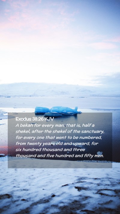 Picture 02 - Exodus 38:26 KJV Mobile Phone Wallpaper - A bekah for every man, that is, half a shekel, - Mobile Bible Verse Wallpaper