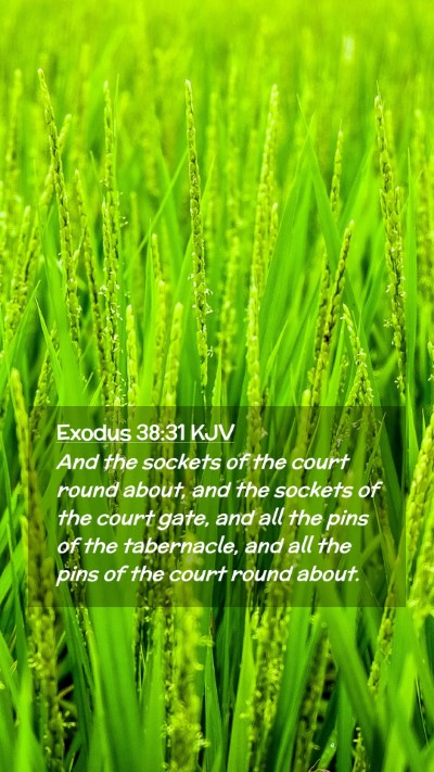 Picture 02 - Exodus 38:31 KJV Mobile Phone Wallpaper - And the sockets of the court round about, and the - Mobile Bible Verse Wallpaper