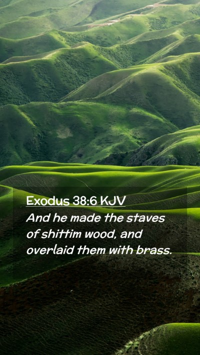Picture 02 - Exodus 38:6 KJV Mobile Phone Wallpaper - And he made the staves of shittim wood, and - Mobile Bible Verse Wallpaper