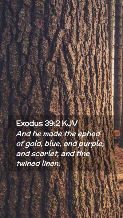 Picture 02 - Exodus 39:2 KJV Mobile Phone Wallpaper - And he made the ephod of gold, blue, and purple, - Mobile Bible Verse Wallpaper