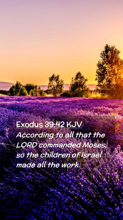Picture 02 - Exodus 39:42 KJV Mobile Phone Wallpaper - According to all that the LORD commanded Moses, - Mobile Bible Verse Wallpaper