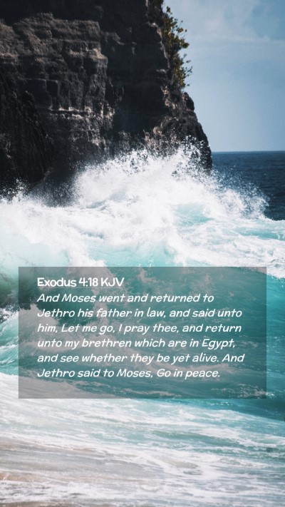 Picture 02 - Exodus 4:18 KJV Mobile Phone Wallpaper - And Moses went and returned to Jethro his father - Mobile Bible Verse Wallpaper