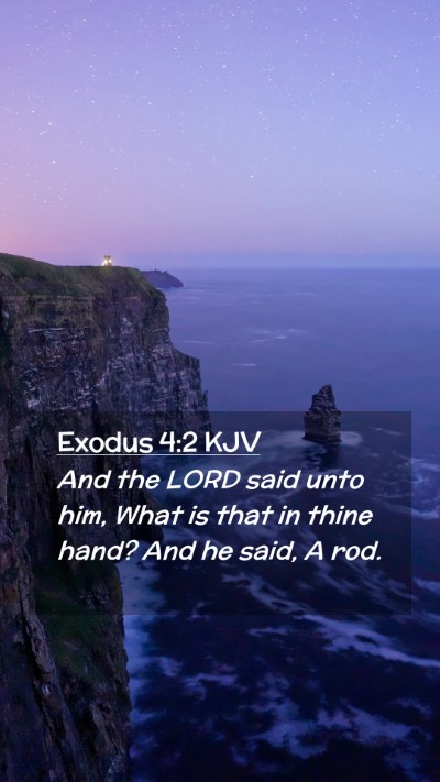 Picture 02 - Exodus 4:2 KJV Mobile Phone Wallpaper - And the LORD said unto him, What is that in thine - Mobile Bible Verse Wallpaper