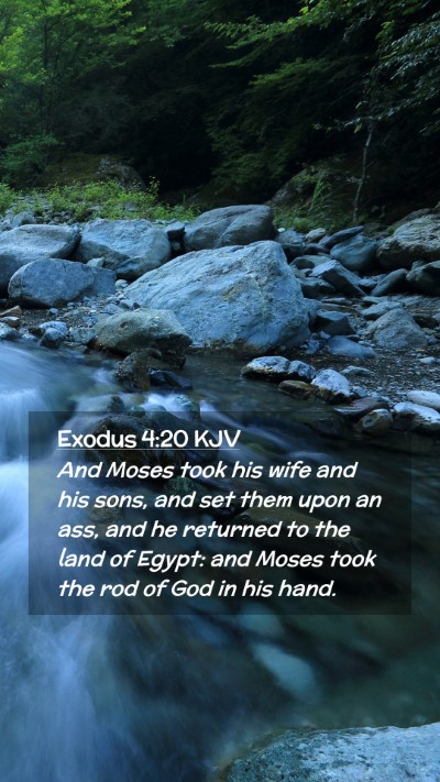 Picture 02 - Exodus 4:20 KJV Mobile Phone Wallpaper - And Moses took his wife and his sons, and set - Mobile Bible Verse Wallpaper