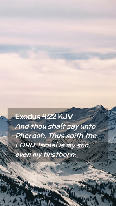 Picture 02 - Exodus 4:22 KJV Mobile Phone Wallpaper - And thou shalt say unto Pharaoh, Thus saith the - Mobile Bible Verse Wallpaper