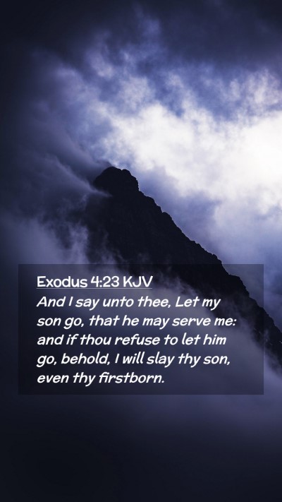 Picture 02 - Exodus 4:23 KJV Mobile Phone Wallpaper - And I say unto thee, Let my son go, that he may - Mobile Bible Verse Wallpaper
