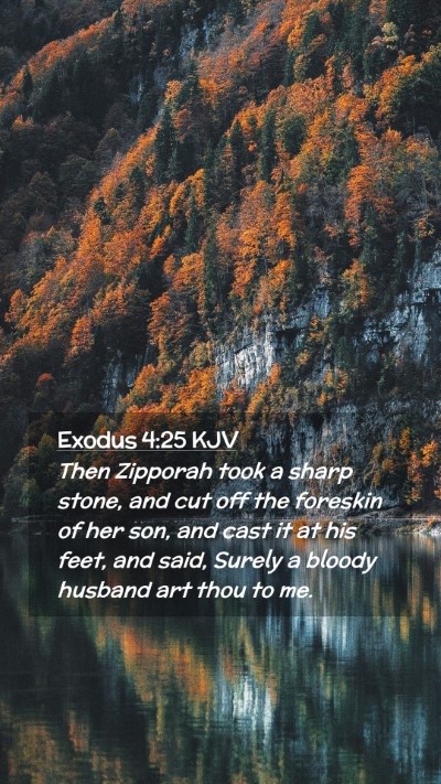 Picture 02 - Exodus 4:25 KJV Mobile Phone Wallpaper - Then Zipporah took a sharp stone, and cut off the - Mobile Bible Verse Wallpaper
