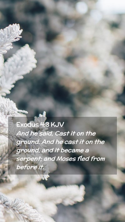 Picture 02 - Exodus 4:3 KJV Mobile Phone Wallpaper - And he said, Cast it on the ground. And he cast - Mobile Bible Verse Wallpaper