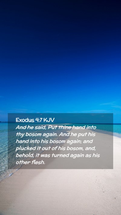 Picture 02 - Exodus 4:7 KJV Mobile Phone Wallpaper - And he said, Put thine hand into thy bosom again. - Mobile Bible Verse Wallpaper