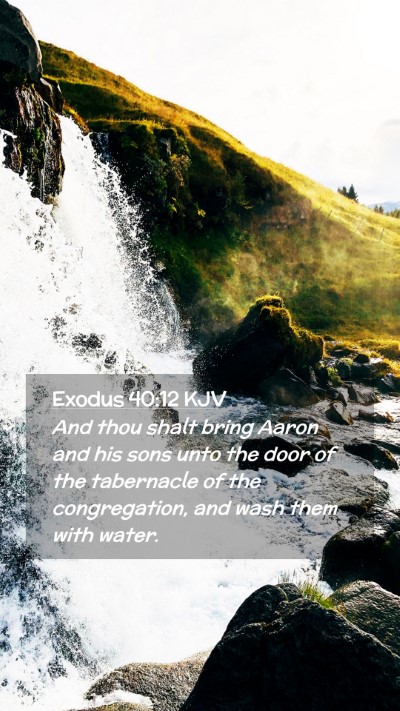 Picture 02 - Exodus 40:12 KJV Mobile Phone Wallpaper - And thou shalt bring Aaron and his sons unto the - Mobile Bible Verse Wallpaper