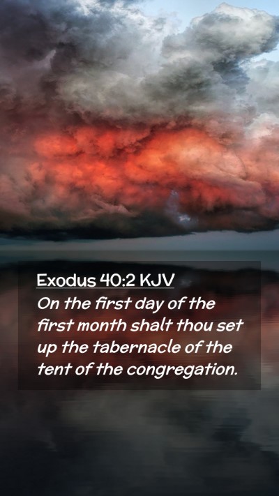 Picture 02 - Exodus 40:2 KJV Mobile Phone Wallpaper - On the first day of the first month shalt thou - Mobile Bible Verse Wallpaper