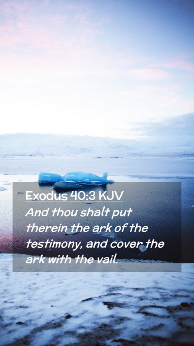 Picture 02 - Exodus 40:3 KJV Mobile Phone Wallpaper - And thou shalt put therein the ark of the - Mobile Bible Verse Wallpaper