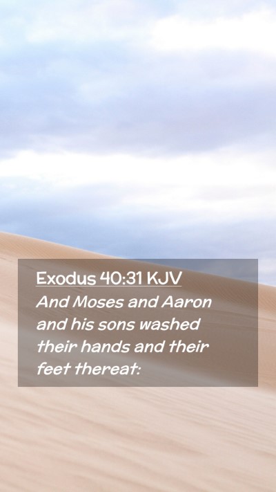 Picture 02 - Exodus 40:31 KJV Mobile Phone Wallpaper - And Moses and Aaron and his sons washed their - Mobile Bible Verse Wallpaper