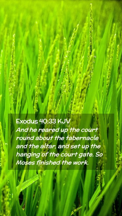 Picture 02 - Exodus 40:33 KJV Mobile Phone Wallpaper - And he reared up the court round about the - Mobile Bible Verse Wallpaper