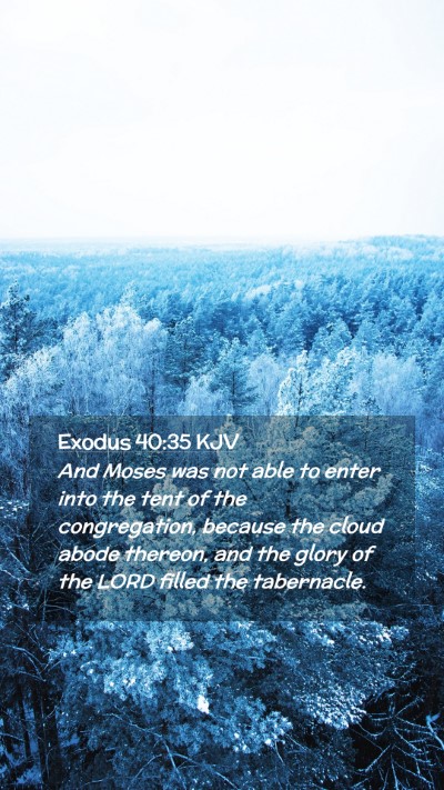 Picture 02 - Exodus 40:35 KJV Mobile Phone Wallpaper - And Moses was not able to enter into the tent of - Mobile Bible Verse Wallpaper