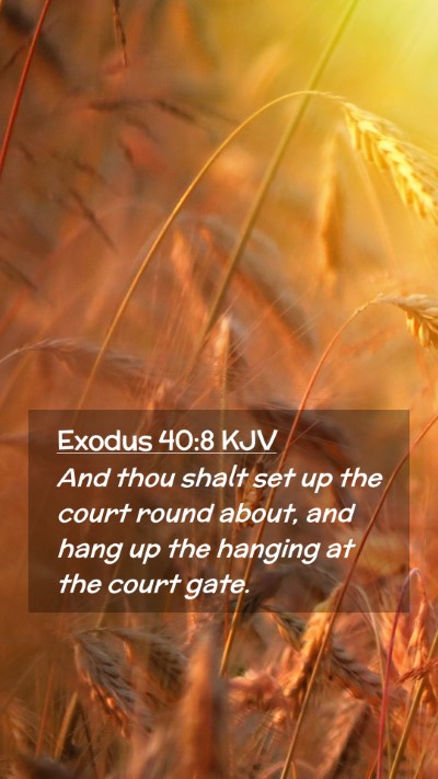 Picture 02 - Exodus 40:8 KJV Mobile Phone Wallpaper - And thou shalt set up the court round about, and - Mobile Bible Verse Wallpaper