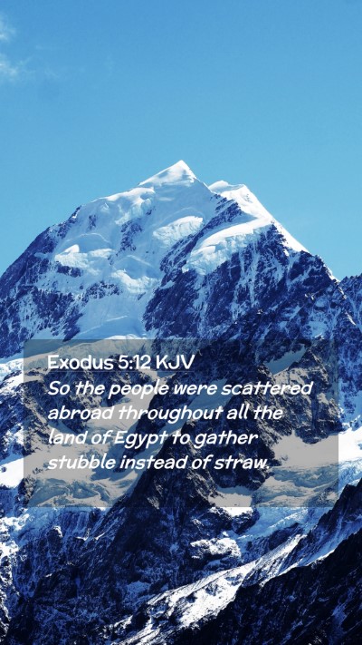 Picture 02 - Exodus 5:12 KJV Mobile Phone Wallpaper - So the people were scattered abroad throughout - Mobile Bible Verse Wallpaper