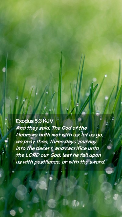 Picture 02 - Exodus 5:3 KJV Mobile Phone Wallpaper - And they said, The God of the Hebrews hath met - Mobile Bible Verse Wallpaper